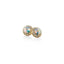 Iridescent/Gold Plate