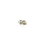 Iridescent/Gold Plate
